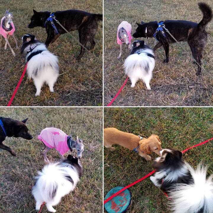 45817c55 dfcb 4a5b 99f5 a7ba938c4777 1540115230231