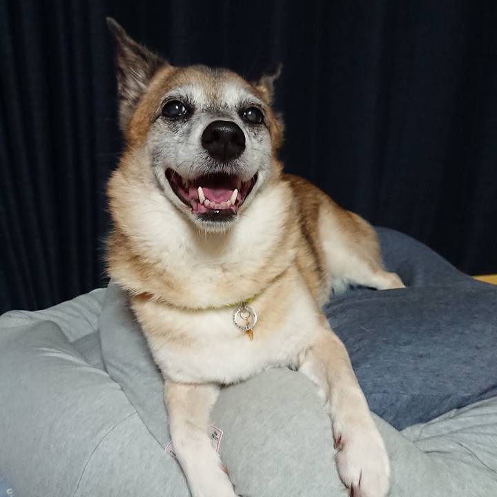 45817c98 ff01 4a8e bcd1 89bea9a8f21e 1597582392406