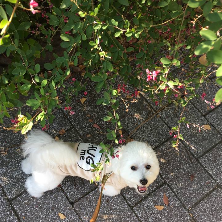 45818c20 5e9b 4696 865d 4681a9a8cf42 1510033475286