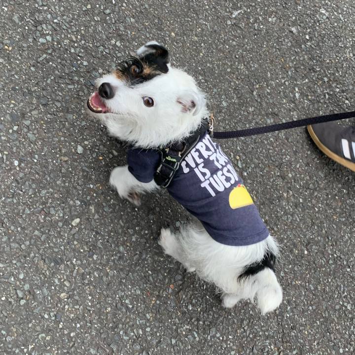 4581c77a bf3c 482f b63b aa25d29d773a 1652600449369