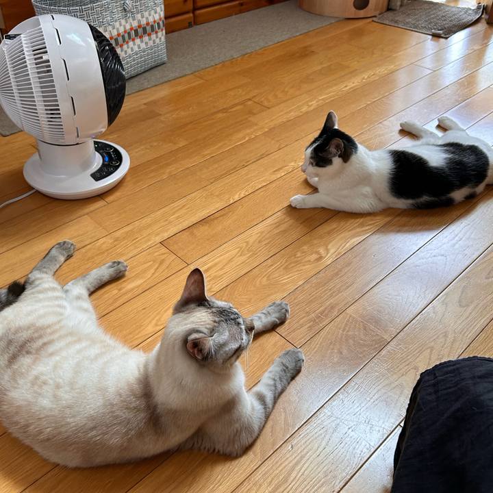 4581e8f1 ef44 4831 9cad f5a59122d712 1752534731667