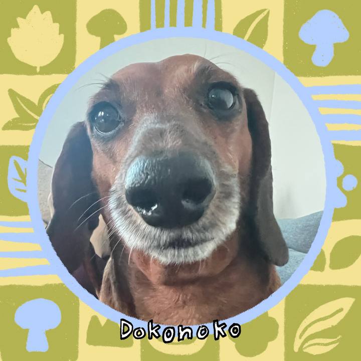 458260d5 2b52 495e afab ded2f1e89769 1764031714575