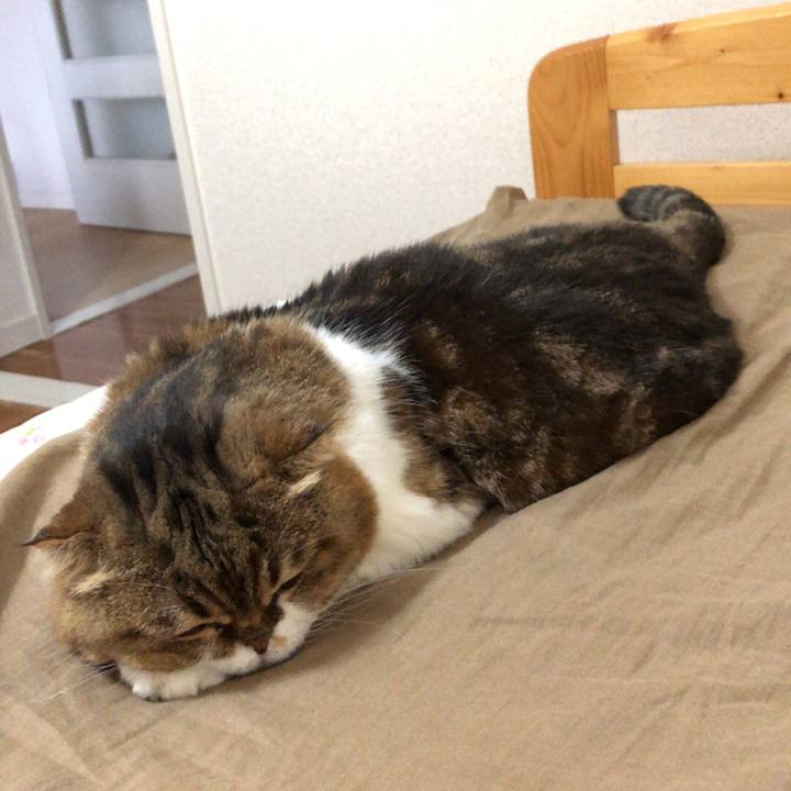 4582add3 ab6c 46e3 9692 aa9daa651f86 1539326333164