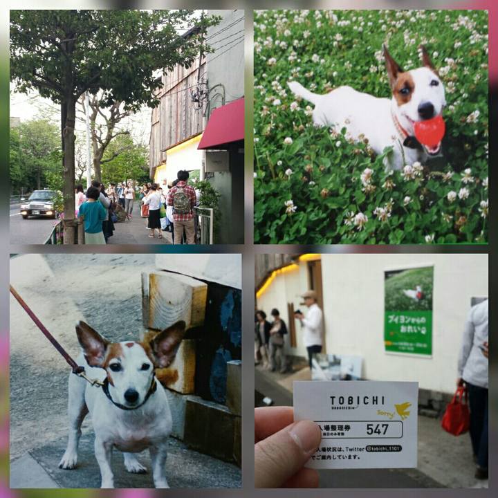 4582b00c 1406 4cba 9328 35e8c65d471e 1524302032331