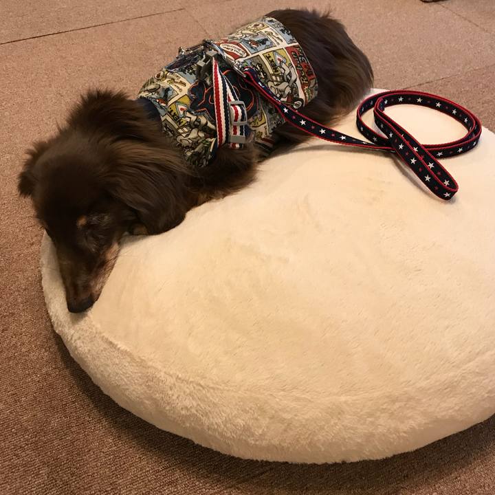 4582b80f a3c8 448c 90e1 439c115407ae 1523436725765