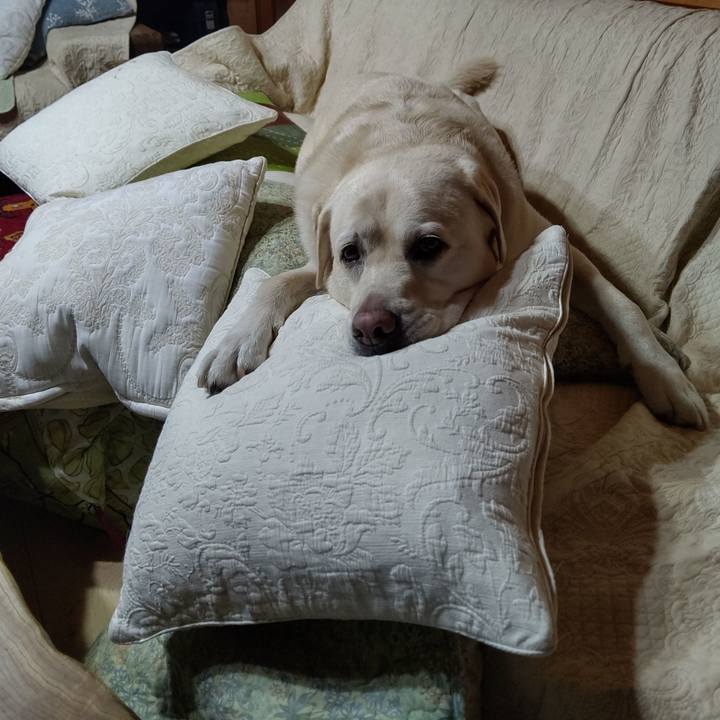 4582c21e 3cb8 4458 8754 1a457b2c260f 1693567477642