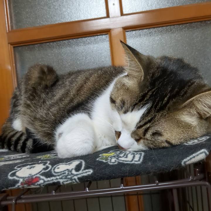 4582ccae 9f2c 4090 8a10 0d4df0c2036c 1681554393211