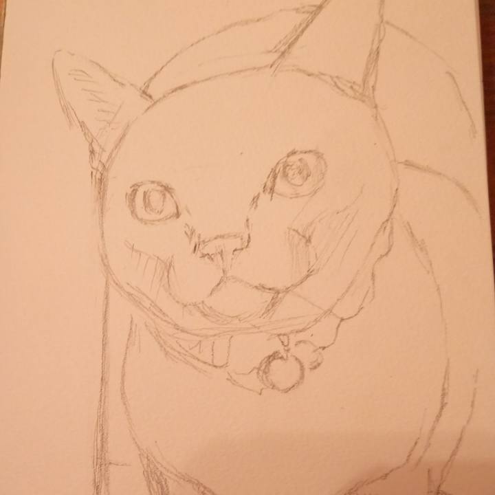 4582d795 9676 4c2f 97f5 e094253c685d 1534821608822