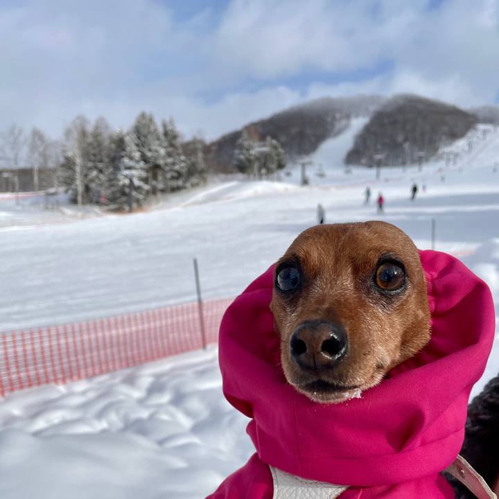 4582e689 9793 4b60 a506 a60b805f5ddc 1672741922452