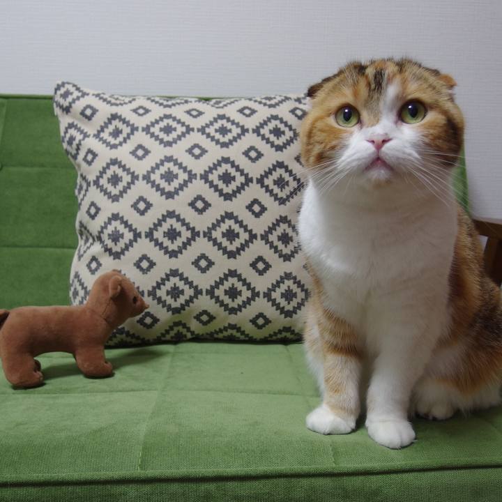 4582e94c 0d96 440b a3ca d2318fc583b8 1592749460611