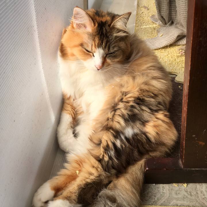 45830ee2 3d0c 4bdc a571 c27476d0fcef 1576050287292