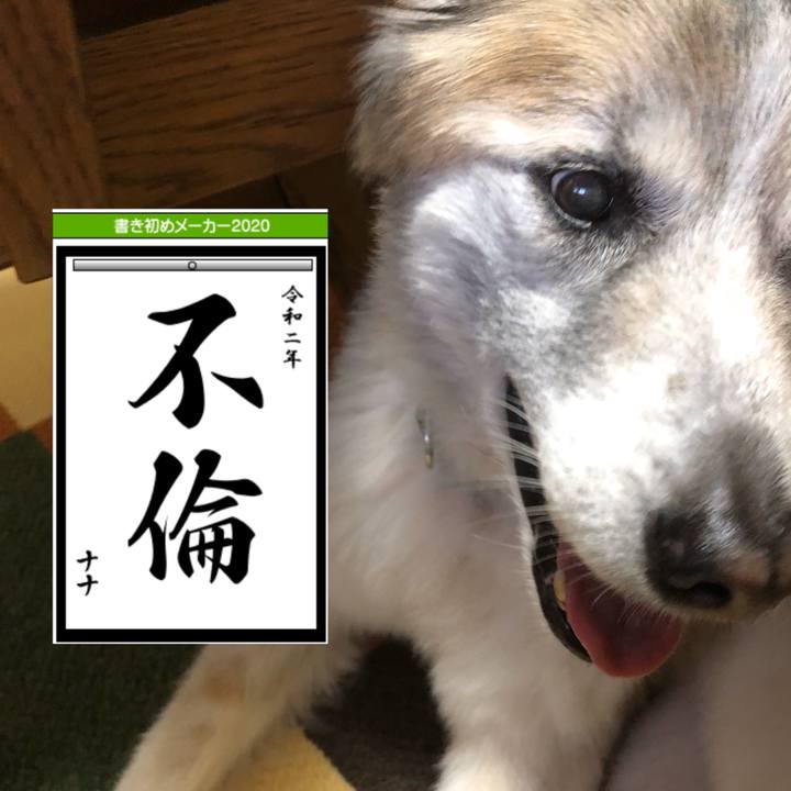 45831784 0589 4341 888e 28d0acb605bc 1578458563651