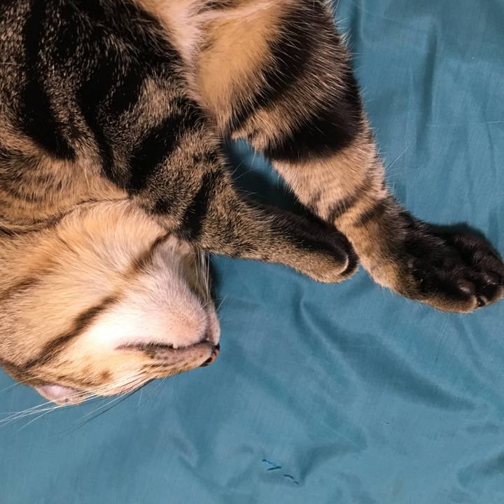 45831ec5 fbbe 4b95 ab14 0bc6531c1041 1529671765132