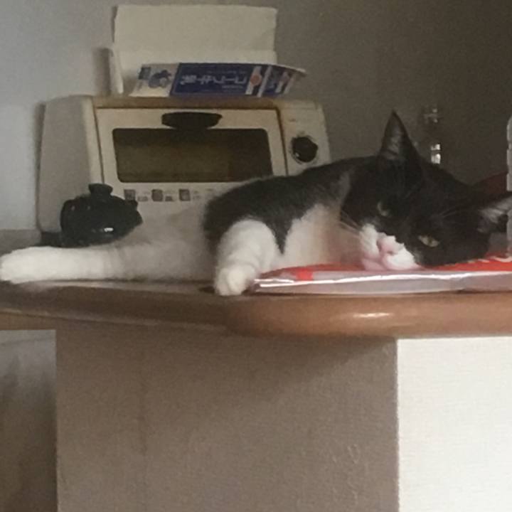 45834e3e ebbf 4312 a7e9 033f64f17489 1534941955239