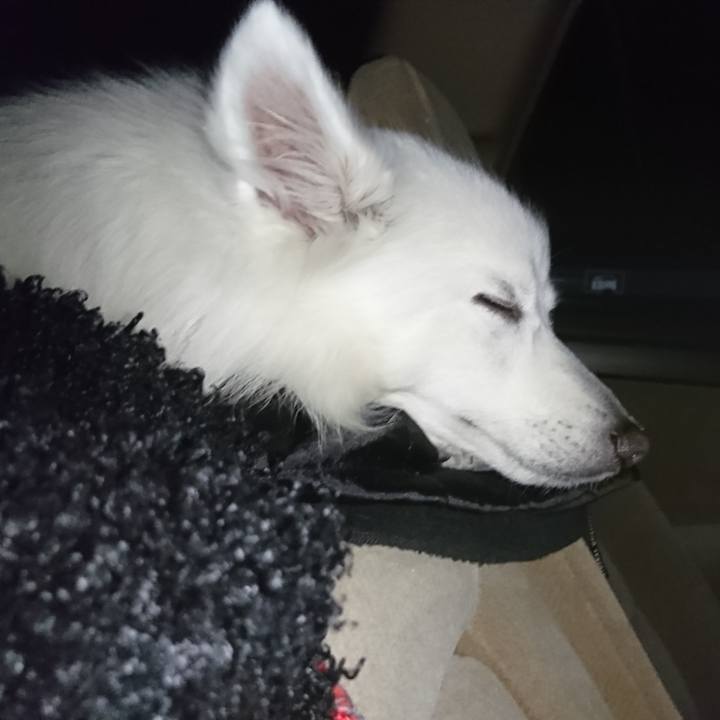 45834e9d e087 435f 8621 e0ebd5d2d7ce 1557070604689