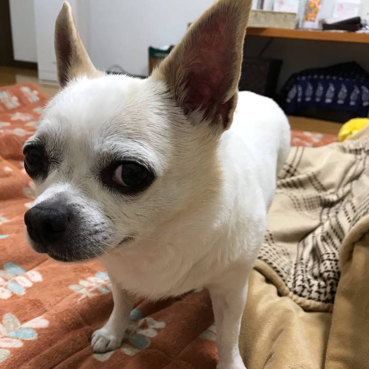 4583533a 2adc 4ecb 8bb0 c7901cf81e73 1555807248645