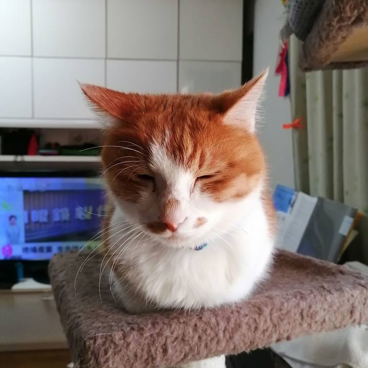 458354dc f598 4895 b3a6 1580f8cf03ab 1604960347432