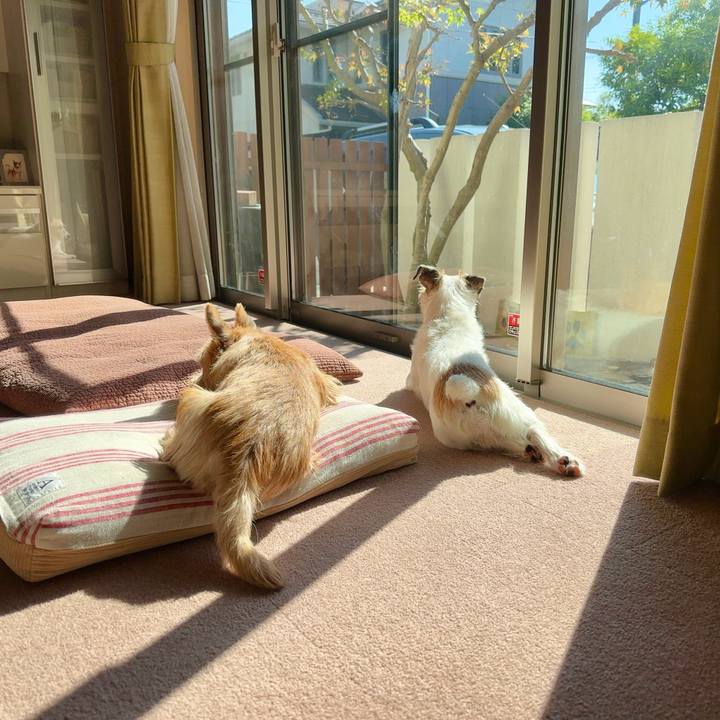 45838899 b76a 49fa 9f91 343638dc82c6 1730714343172