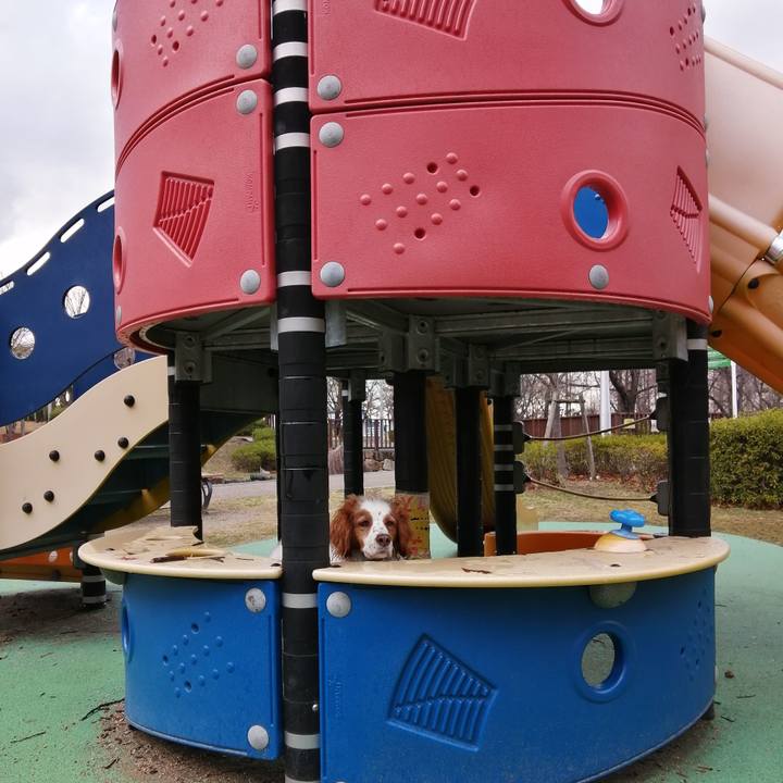 4583972c 77cd 45b1 90e2 13d72abea347 1613387886028