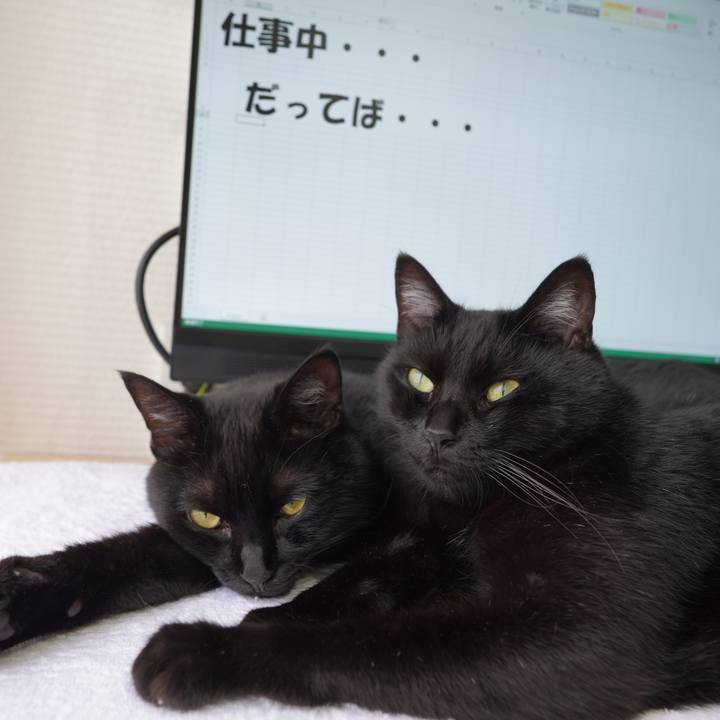 45846727 86c1 4f83 9409 745c2dcaa010 1594874917169