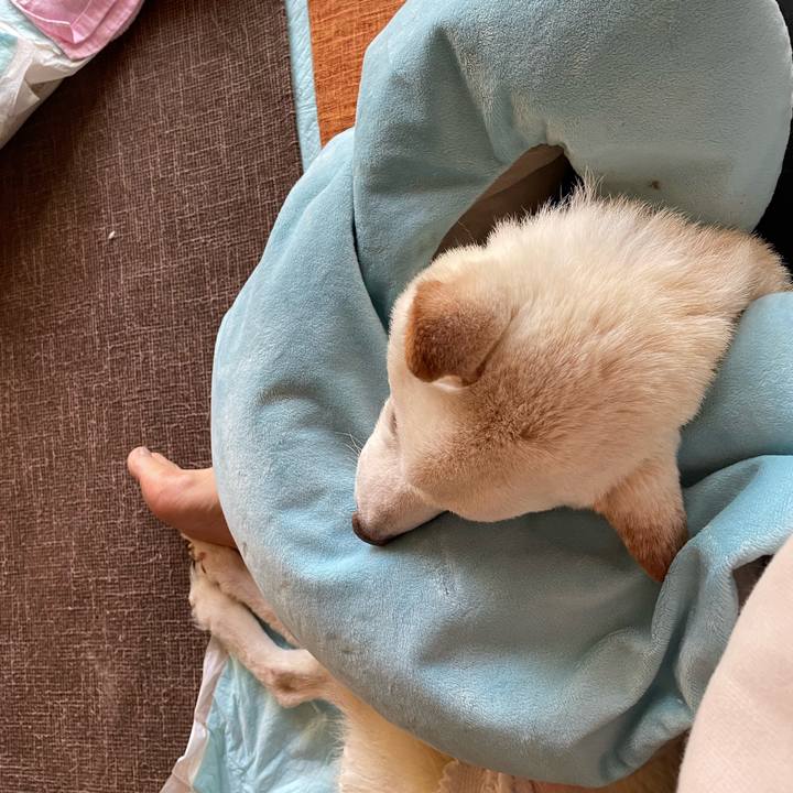 458473cd 89a9 4bad 8b76 220f1acf83dc 1669529038103