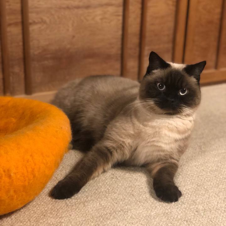 45847693 4ccc 4460 a793 3c63f12d271a 1612352727160