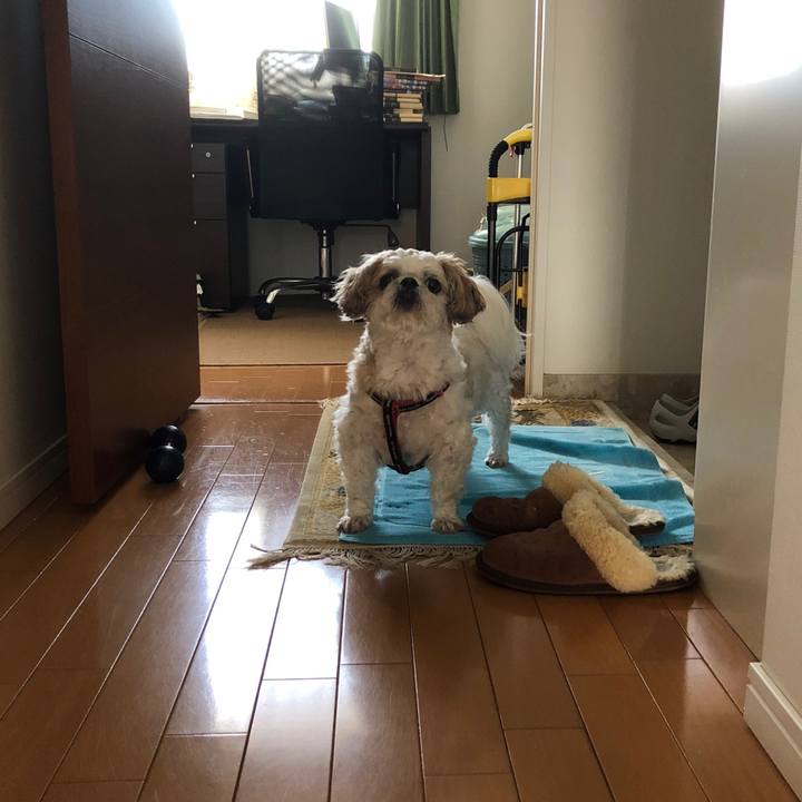 458480ef f278 44b2 b07a 6da9e3fbcf85 1589492609143