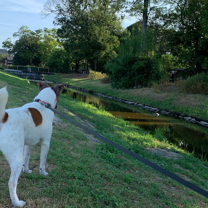 4584c617 1b59 4794 b3d9 13be6802b7b2 1597357574853