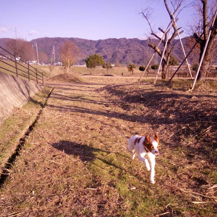 4584c7ee 5af7 43b8 a6e4 95d8c83a7f75 1517733395761