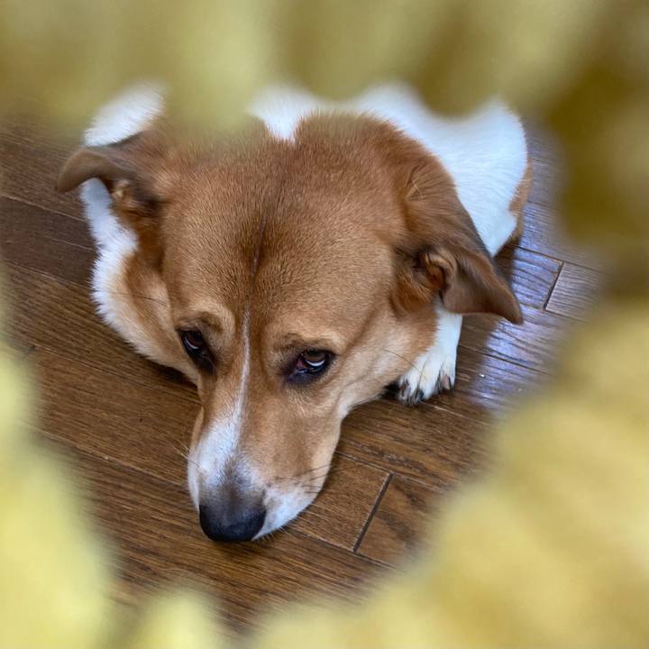 4584d49a ef53 4453 93e0 93905b380326 1692840381791