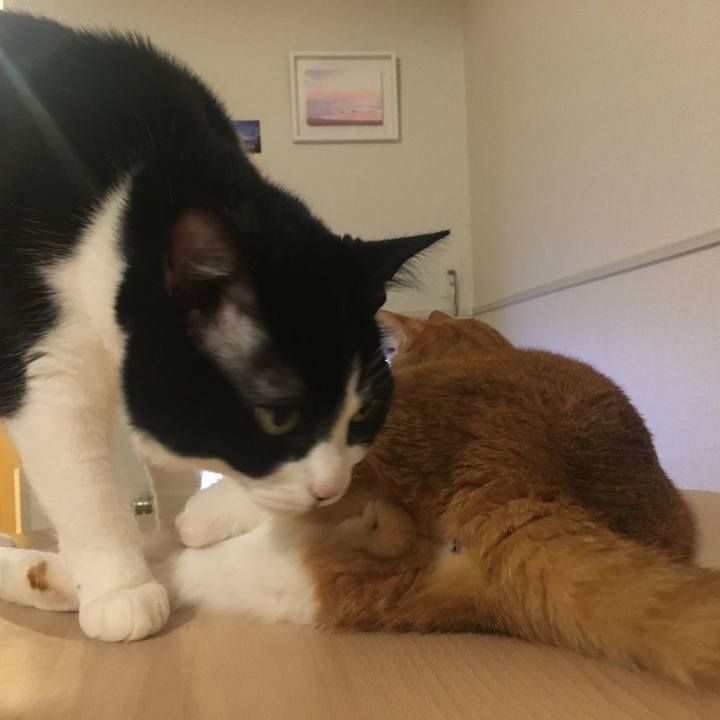 4584efd6 98d4 4ed8 8b97 9a3f12fcdd60 1583133536782