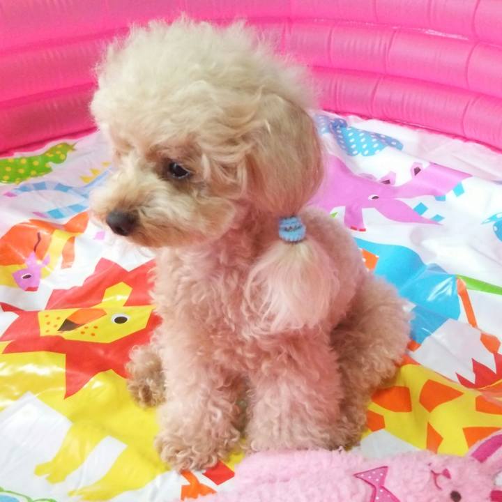 4584f0b3 60c1 4994 9577 3ff215d3cc1d 1531480164221