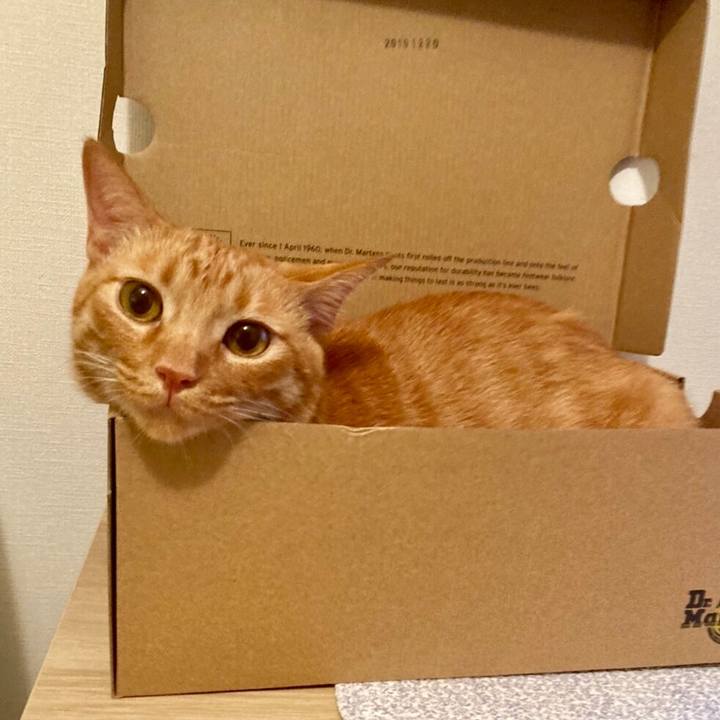 45855547 fadc 4a08 980b 481dff8dc82a 1594556544206