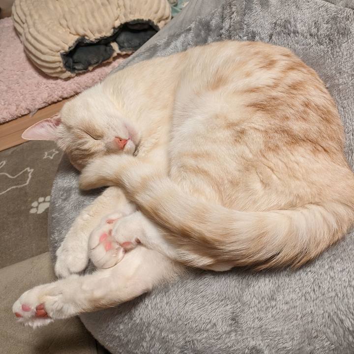 45857d31 da7f 49bb be10 300b3c34b3a4 1684850016414