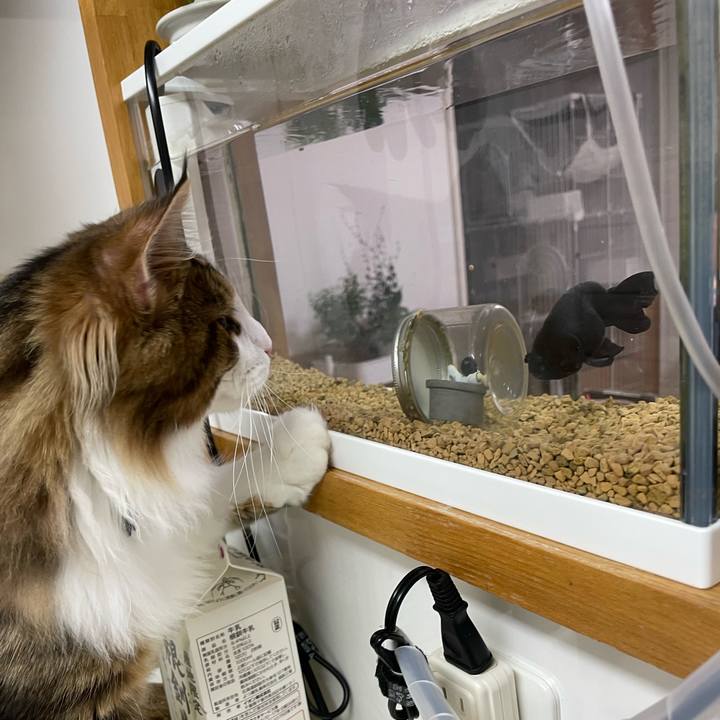 4585de03 7989 45bd a458 de0252546146 1640036857118