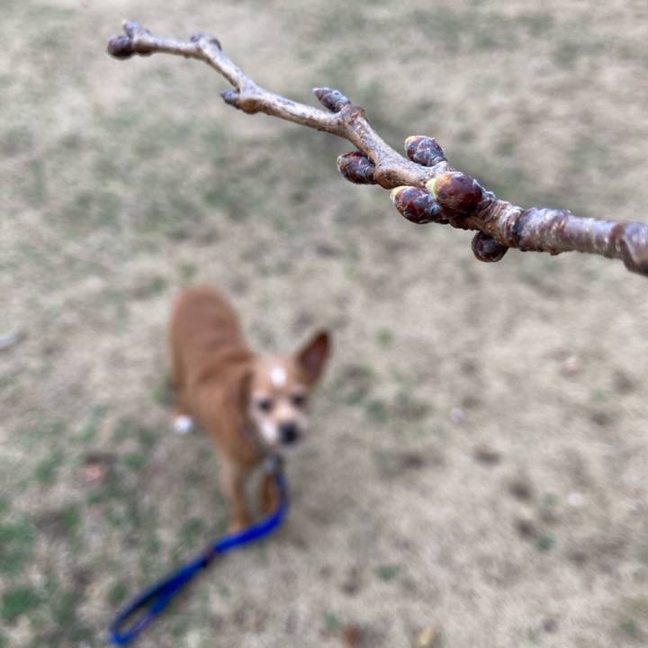 4585e11f 3444 4e44 b1dd 62222efb2076 1614681997236