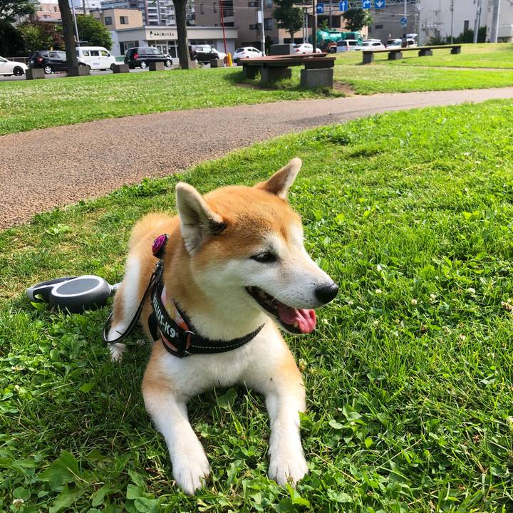 4585e153 4d7f 4f2e 84d8 c795c78b25a1 1595290798192