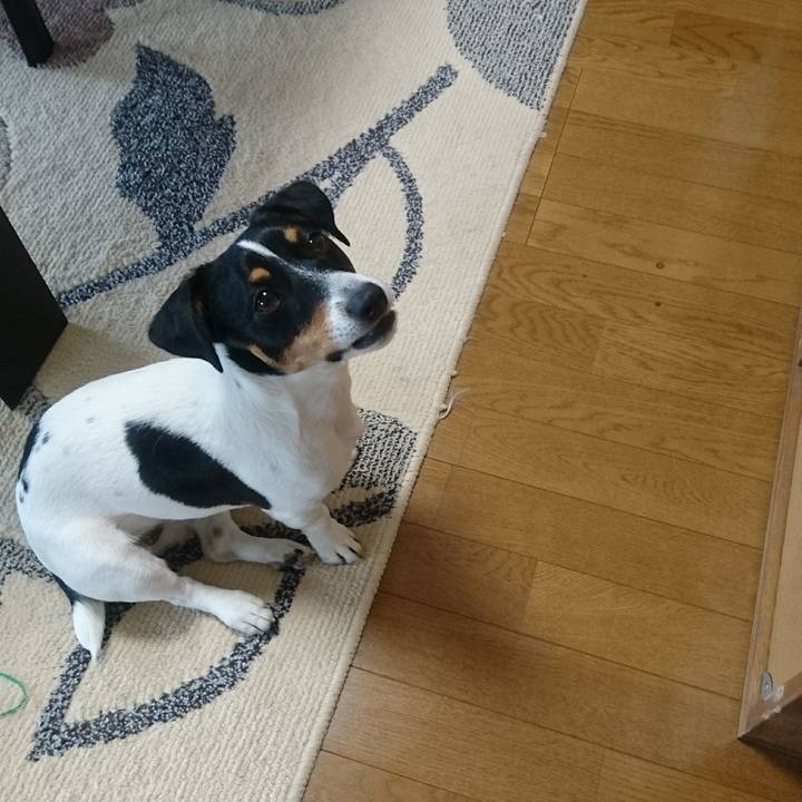 4585e335 27f5 4258 ac12 c421bcaefc5b 1553824724708