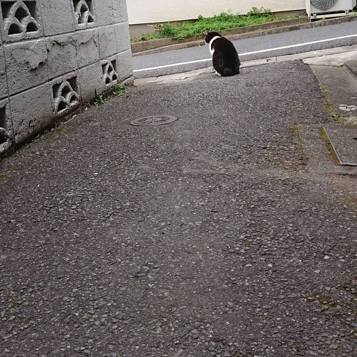 4585e563 44f6 4e0a acf7 07cefc198360 1647755220839