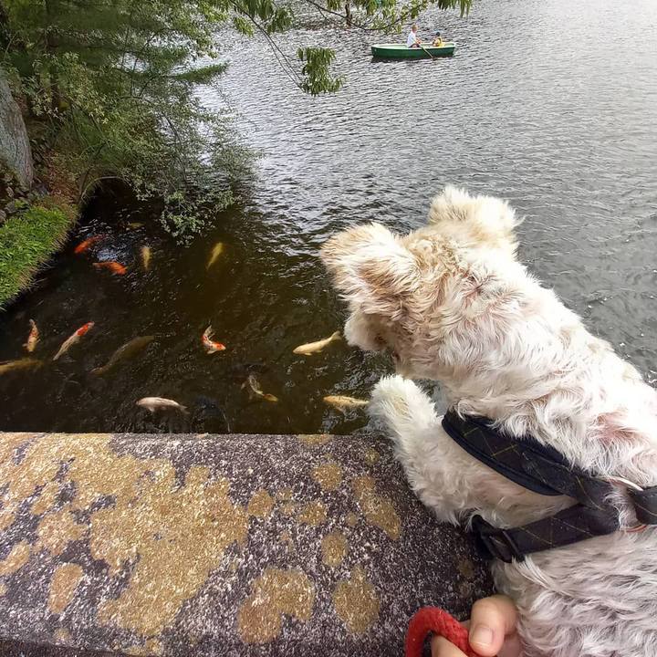 45862a7f 300a 45a7 bcd1 41fd84e8d2bf 1624247271106