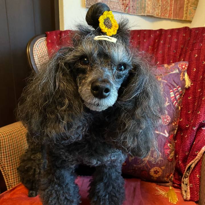 45863249 2910 4c80 9692 5a23aab09f1e 1721696675773