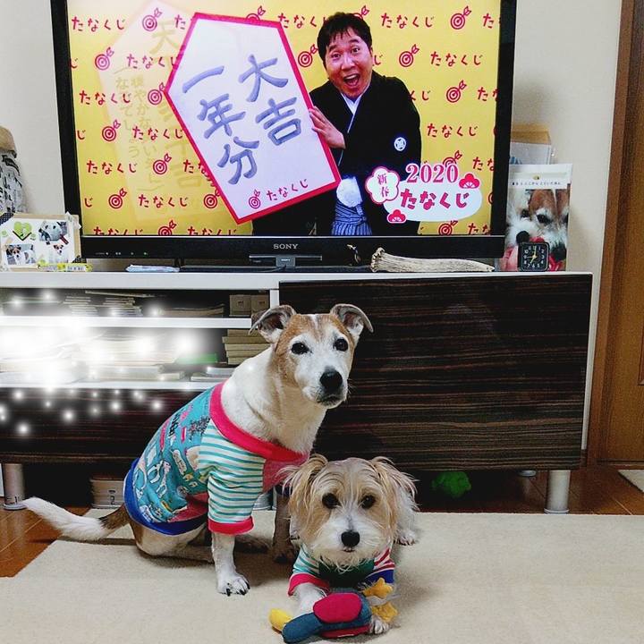 458637ad 6aaa 4c4d 8bd4 0195baf55b1c 1578263039076