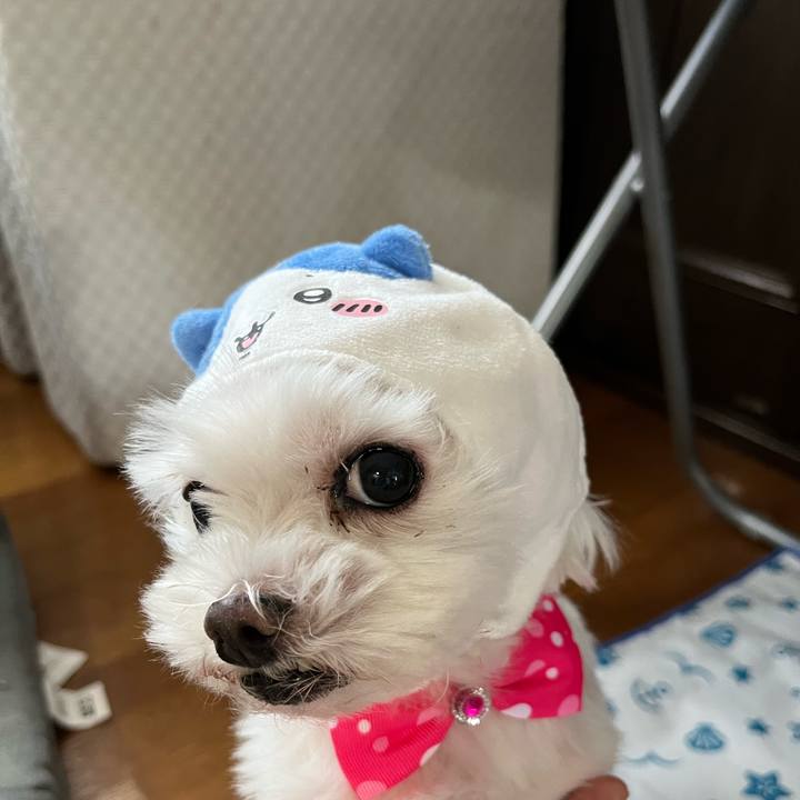 45864a44 e89b 4c84 b71d 6afa04cb7275 1720307976282