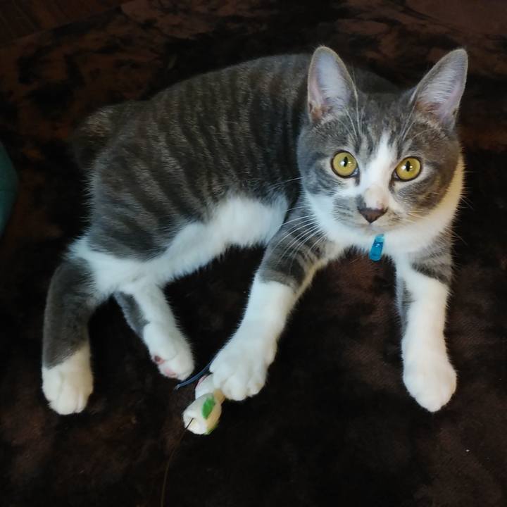 45866ecc 83cf 4437 8855 41bc560888a6 1574143330567