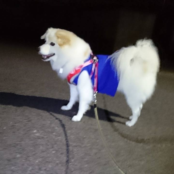 45869253 2bb9 464c 854a 872bb577b182 1507640296679