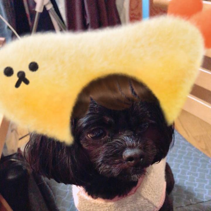 458696cd 5220 4202 b585 0cfbd08ea24c 1509371826297