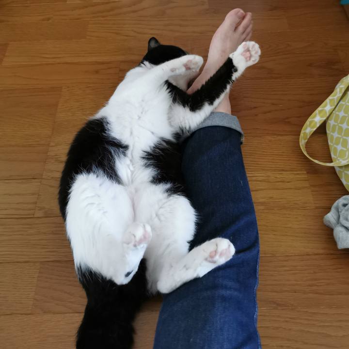 4586b176 4c68 4a83 91fe f1b39c16d6d0 1658552683009