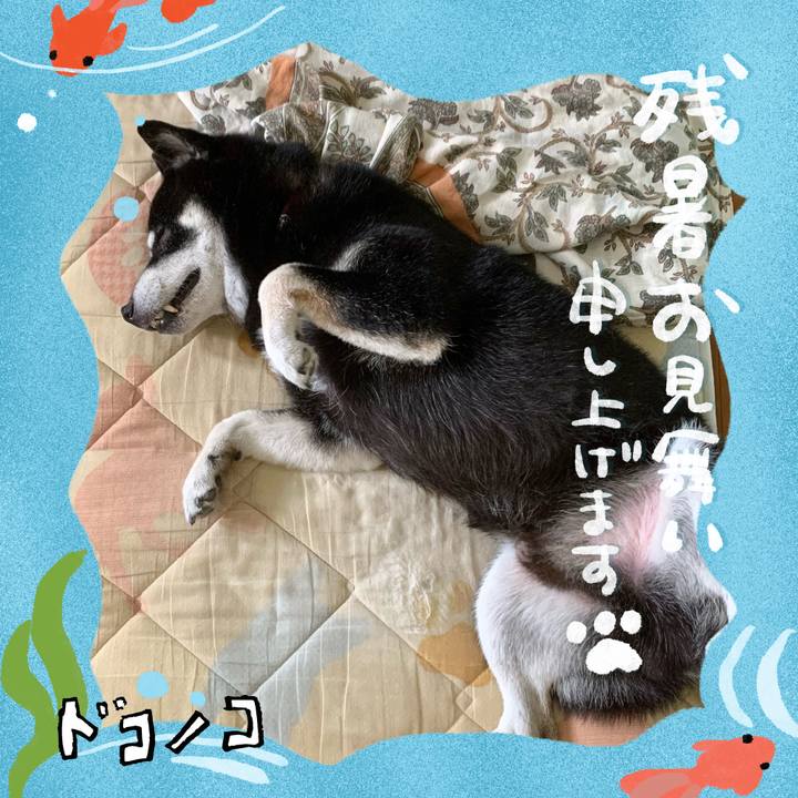 4586bab7 d682 46a7 9be6 50f4ea097ee8 1723711289954