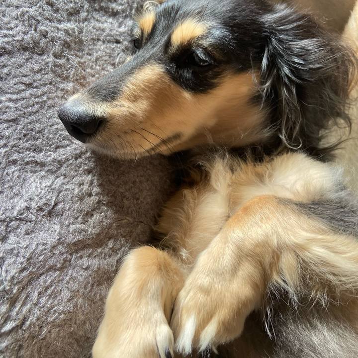 4586ff71 964f 4417 82e5 f7d0dbc21082 1734567309688