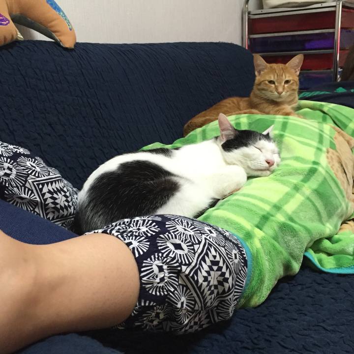 458700bf 95b6 4fe5 9c68 69411845419b 1530280391658